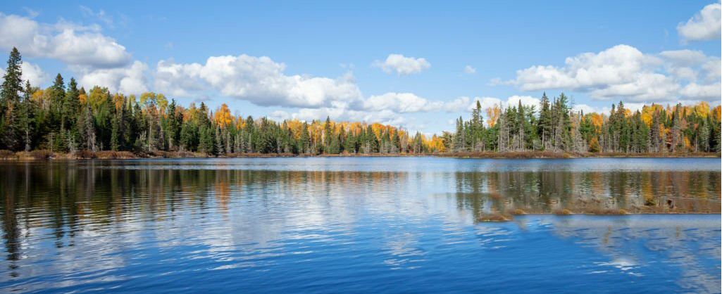 Image (7)
